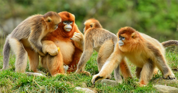 1509525803680078631.jpg 3.jpg