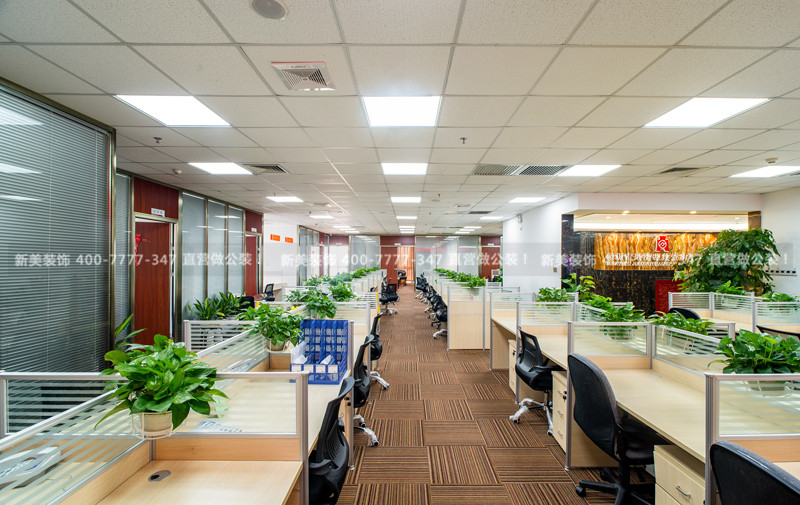 1573805921769046008.jpg 新美裝飾-聚隆源投資 (9).jpg